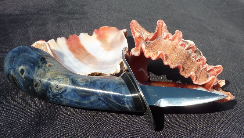 Oyster knife blade 100C6 steel, stainless steel guard,buffalo horn loupe chestnut stabilized and tinted blue handle.